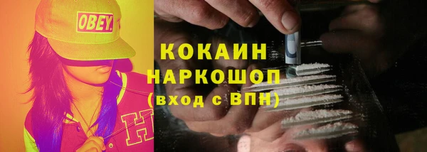 спайс Арсеньев