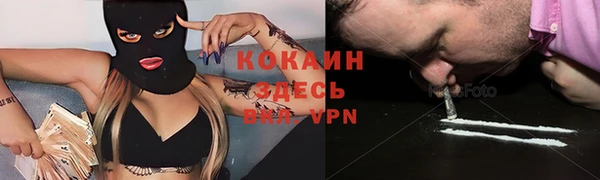 спайс Арсеньев
