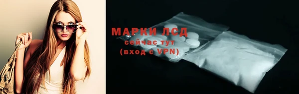 спайс Арсеньев